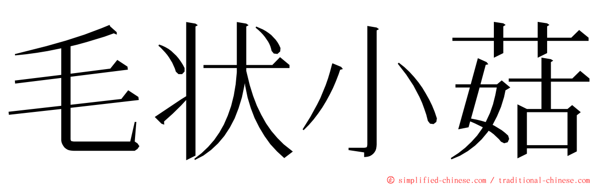 毛状小菇 ming font