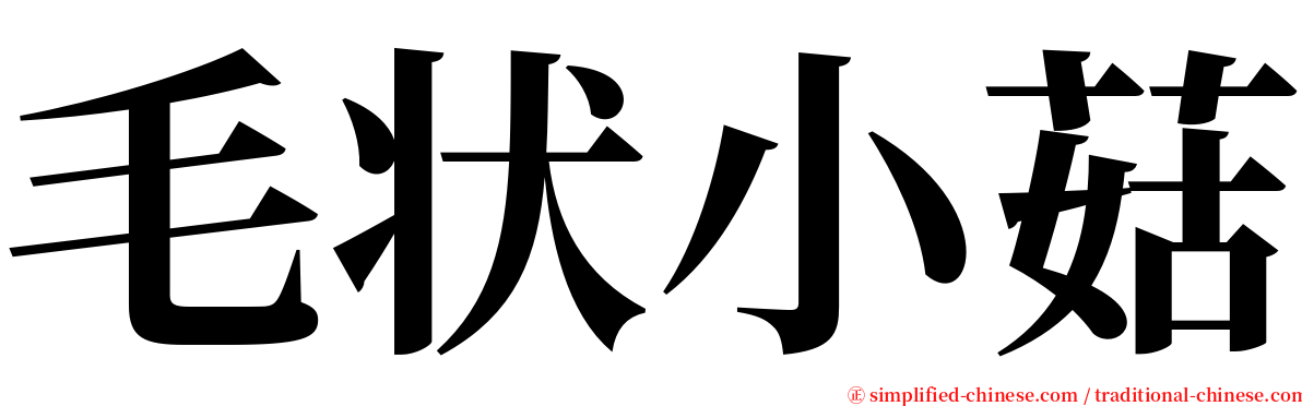 毛状小菇 serif font