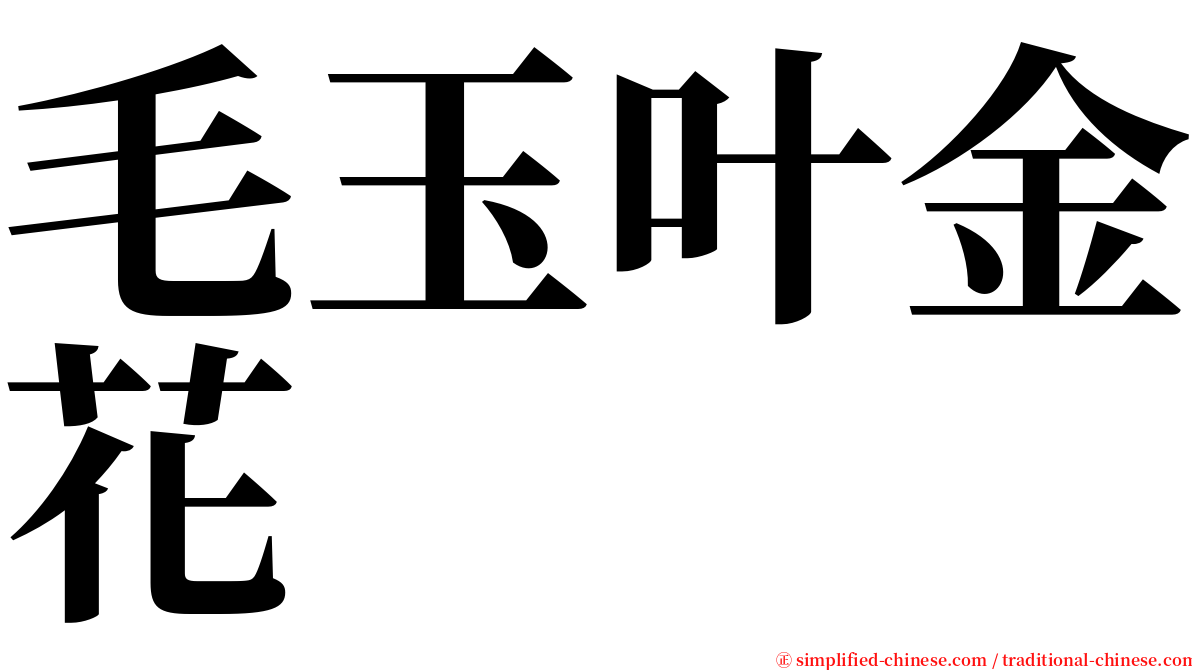 毛玉叶金花 serif font