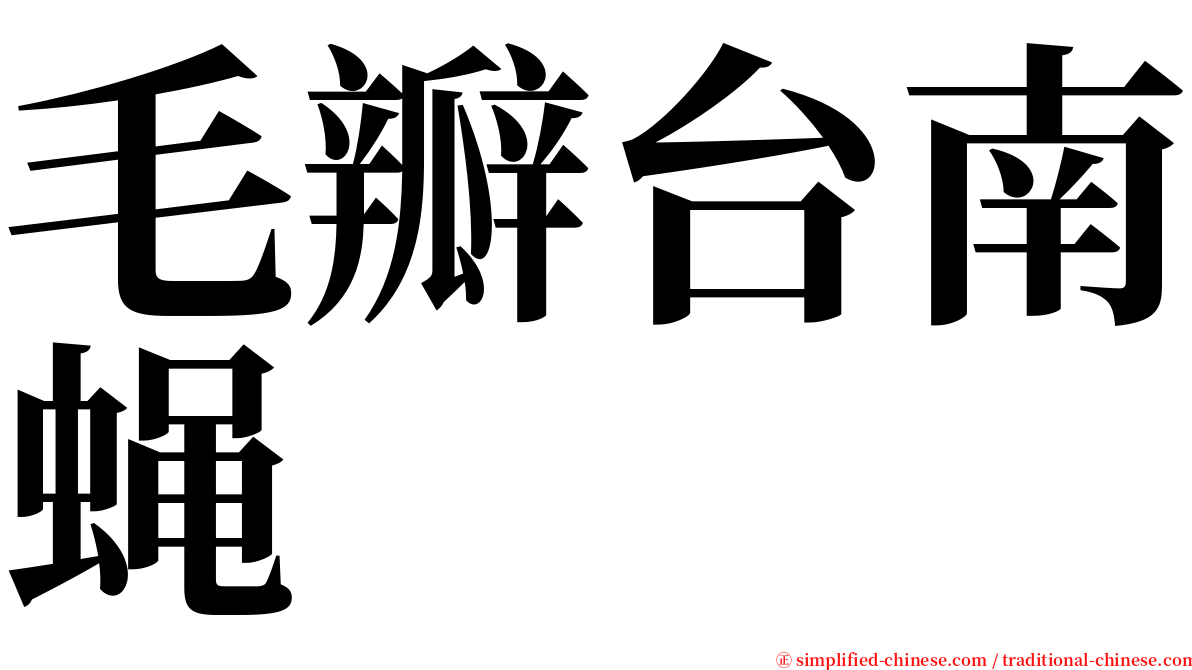 毛瓣台南蝇 serif font