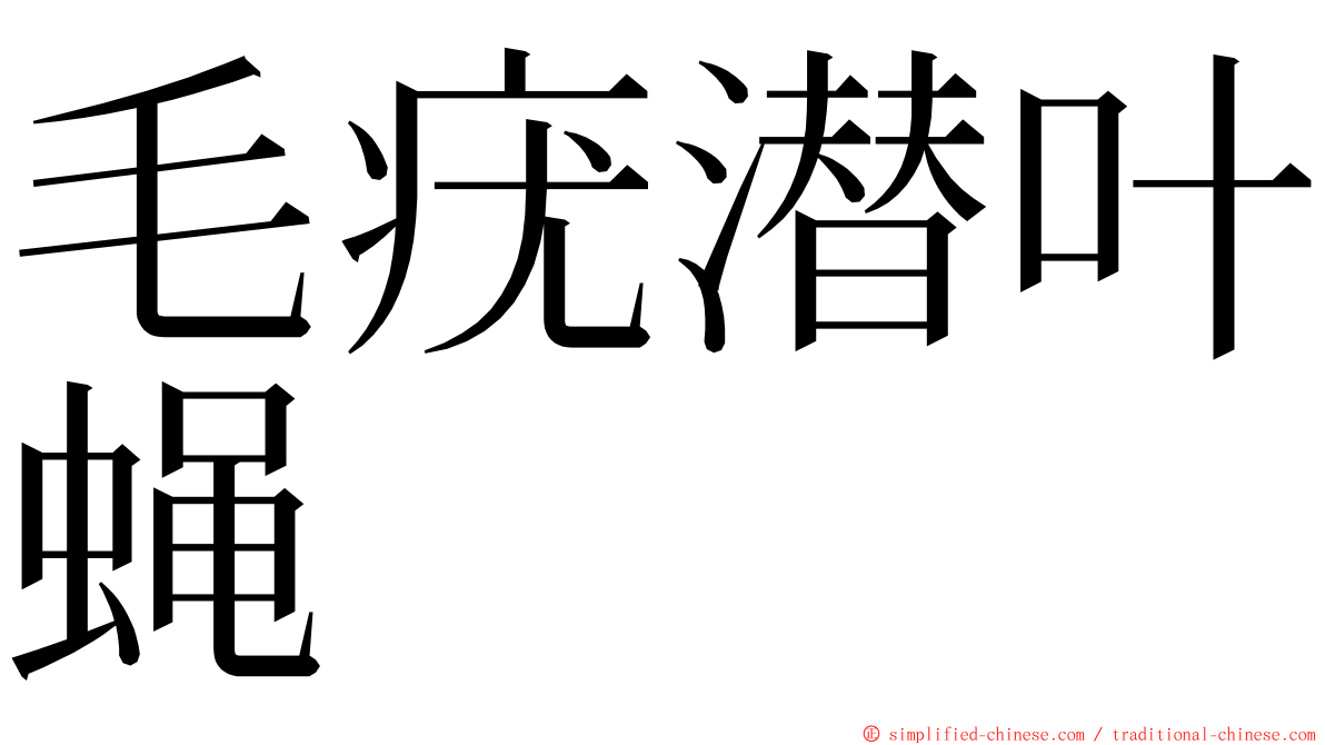 毛疣潜叶蝇 ming font