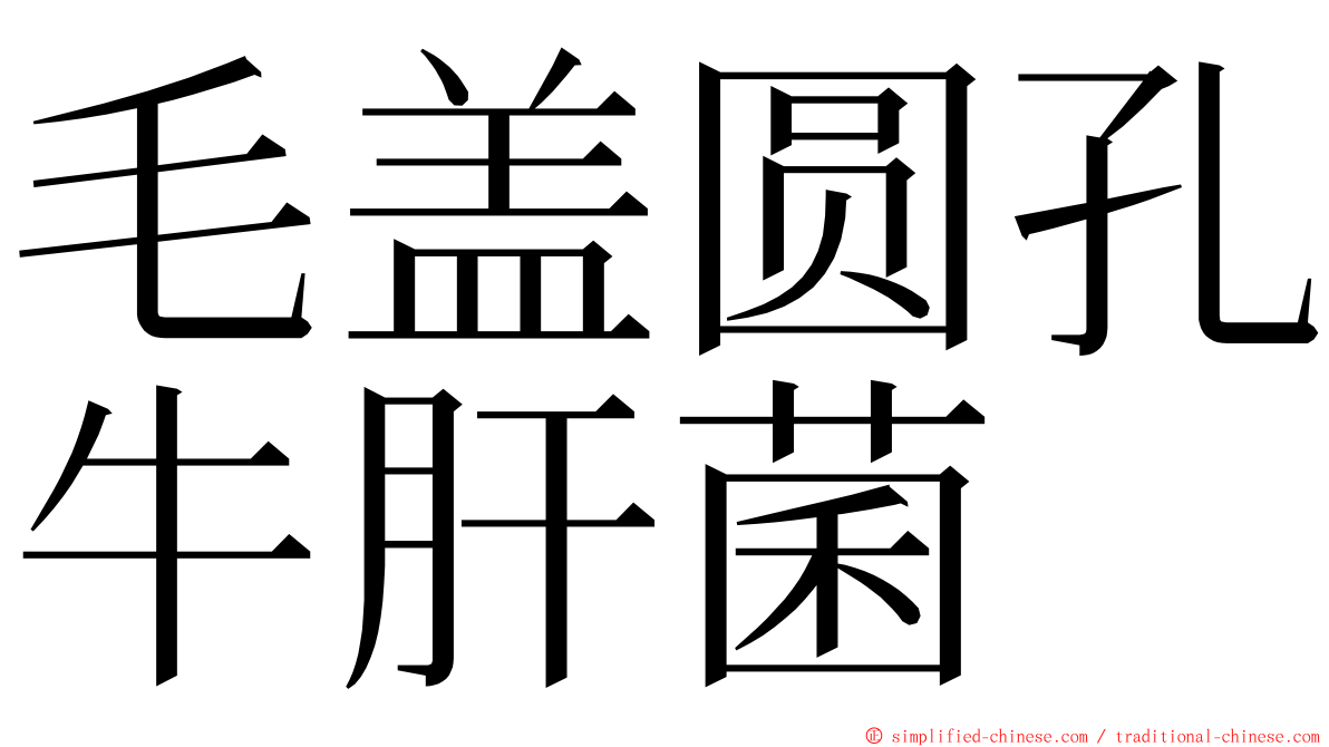 毛盖圆孔牛肝菌 ming font