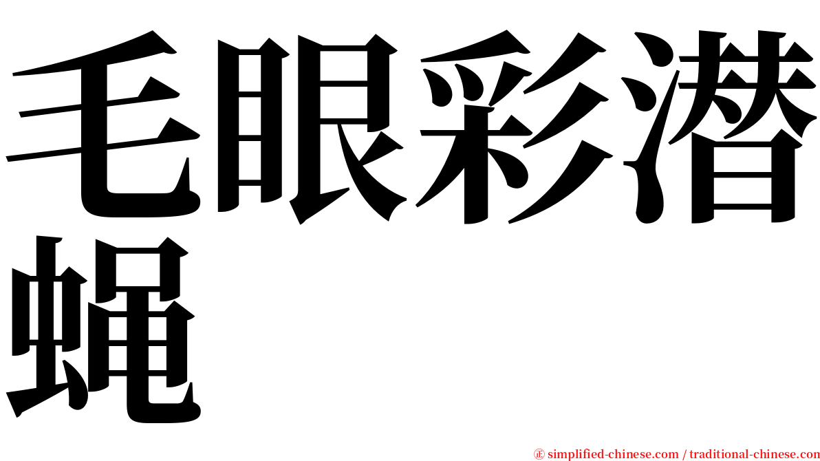 毛眼彩潜蝇 serif font