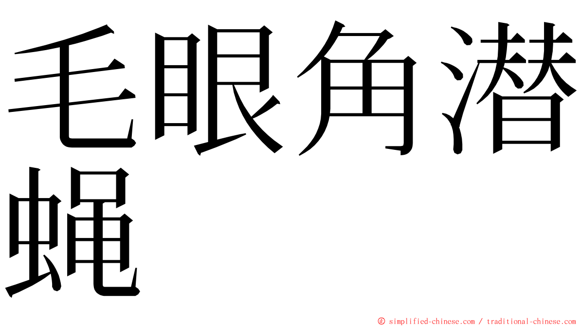 毛眼角潜蝇 ming font