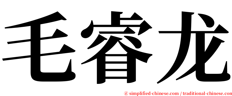 毛睿龙 serif font