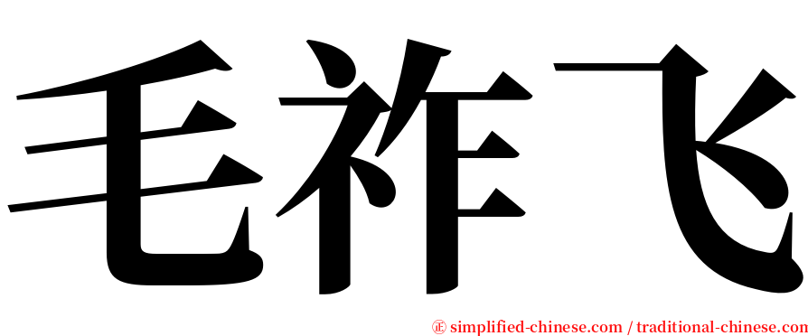 毛祚飞 serif font