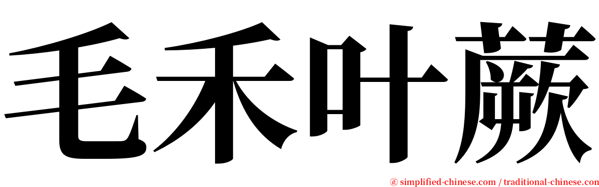 毛禾叶蕨 serif font