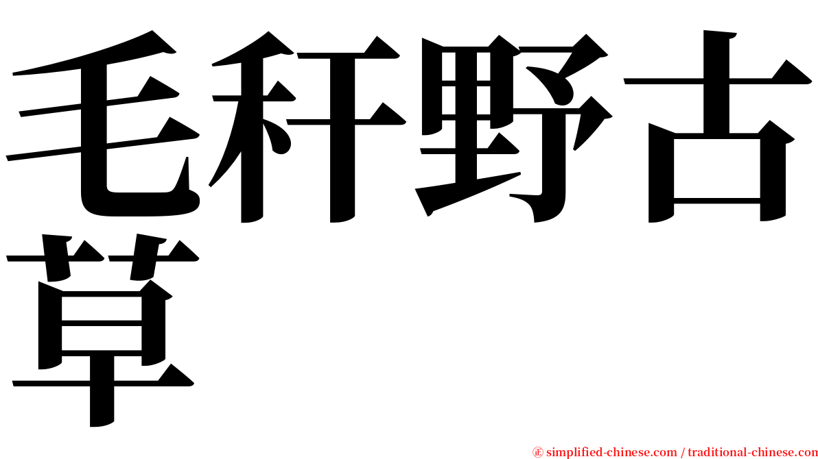 毛秆野古草 serif font