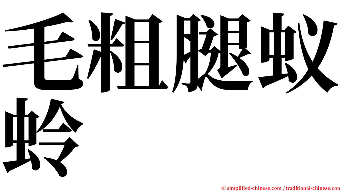 毛粗腿蚁蛉 serif font