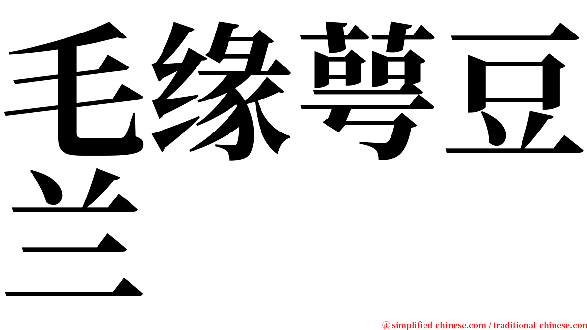 毛缘萼豆兰 serif font