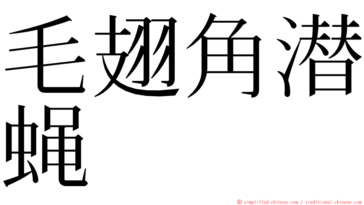 毛翅角潜蝇 ming font