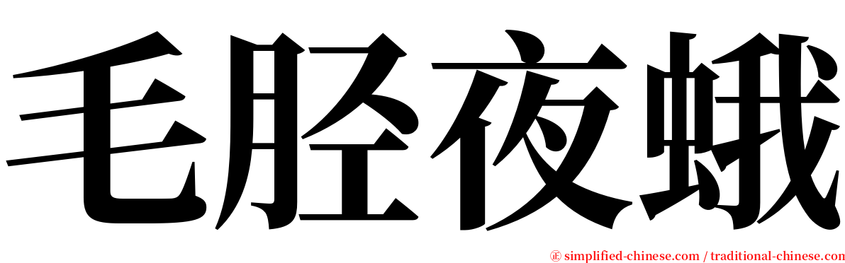 毛胫夜蛾 serif font