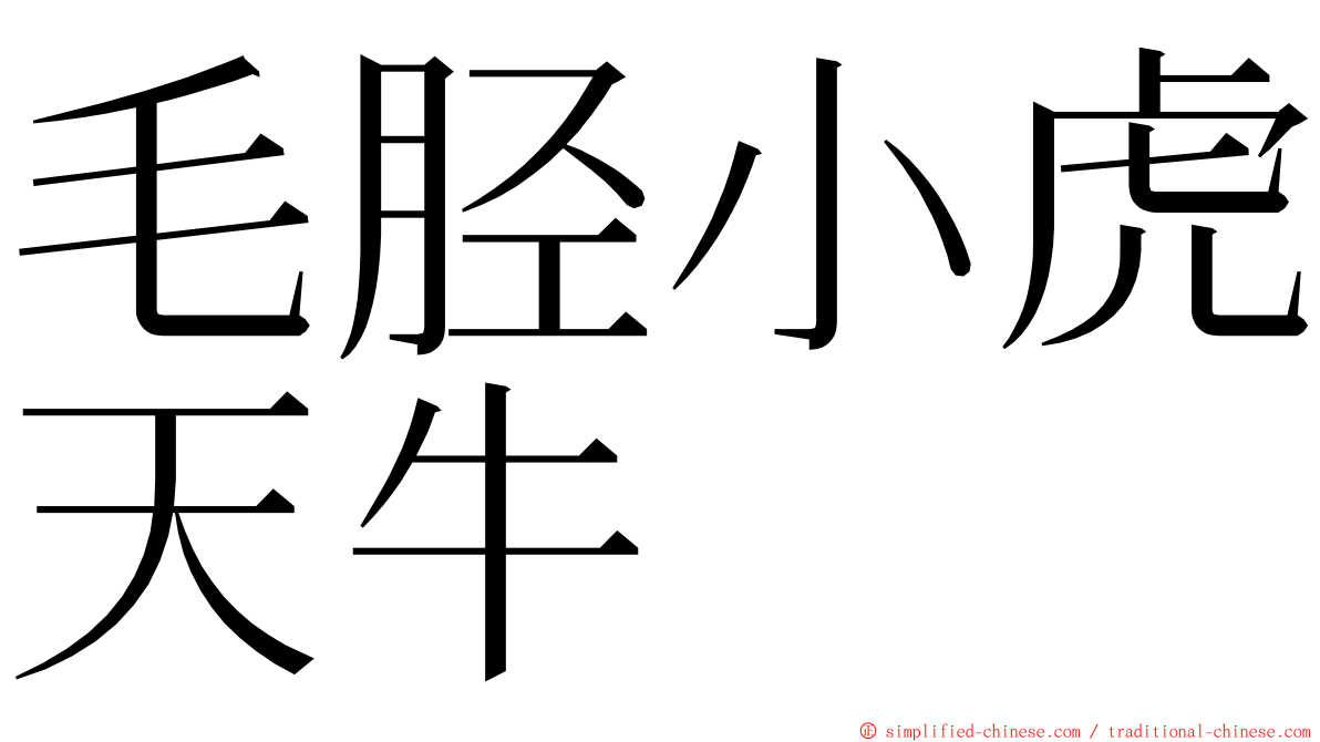 毛胫小虎天牛 ming font