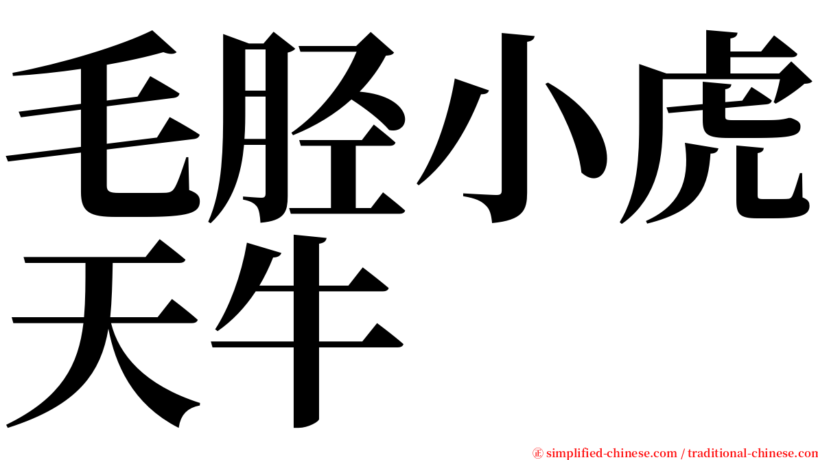 毛胫小虎天牛 serif font