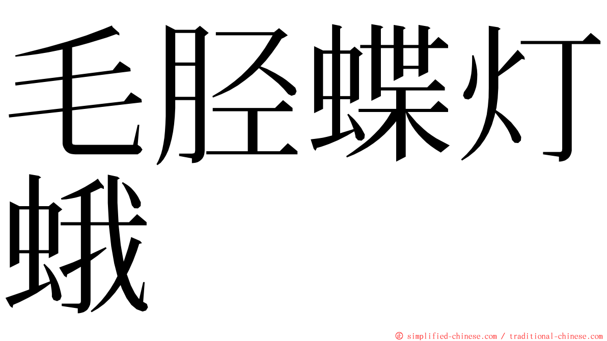 毛胫蝶灯蛾 ming font