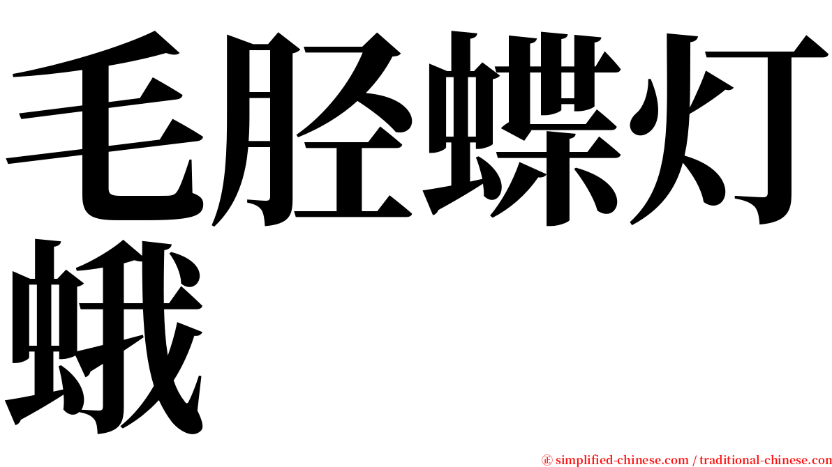 毛胫蝶灯蛾 serif font