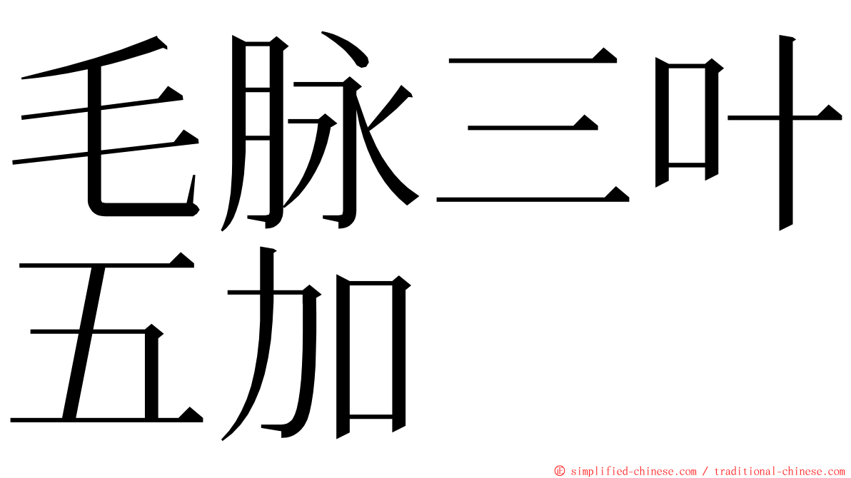 毛脉三叶五加 ming font