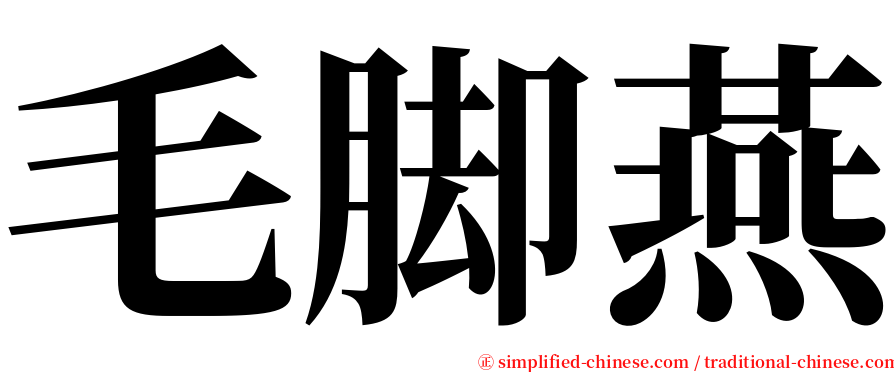 毛脚燕 serif font