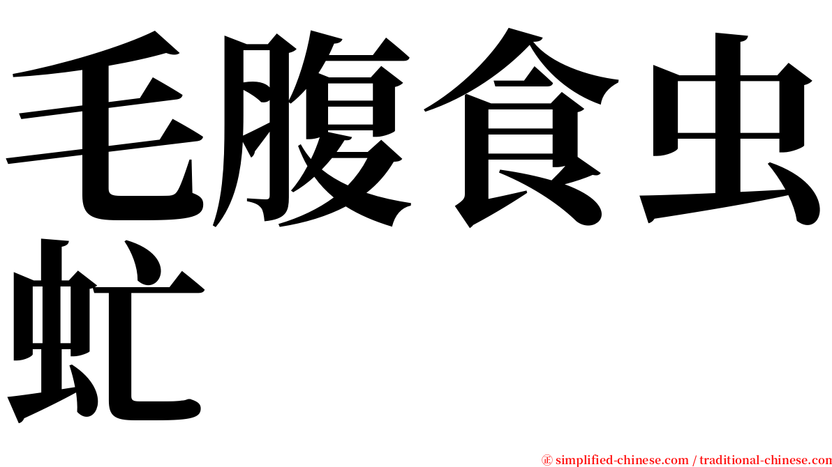 毛腹食虫虻 serif font