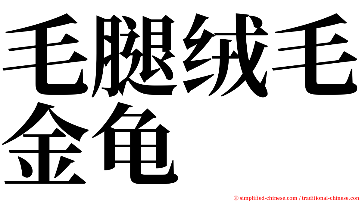 毛腿绒毛金龟 serif font