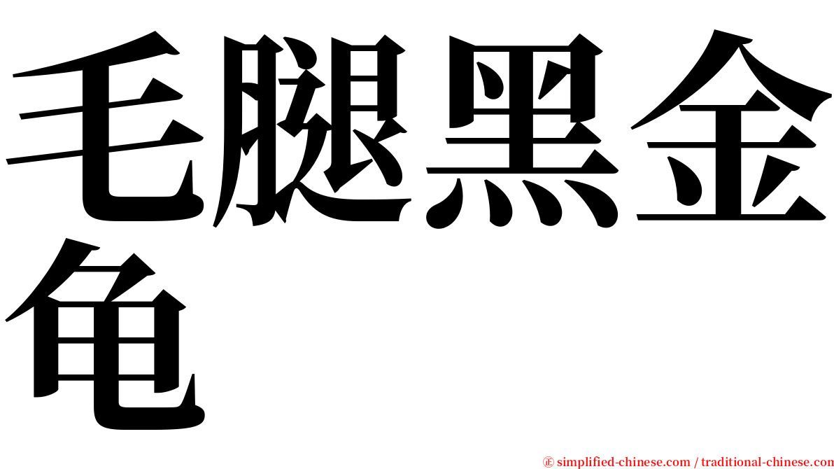 毛腿黑金龟 serif font