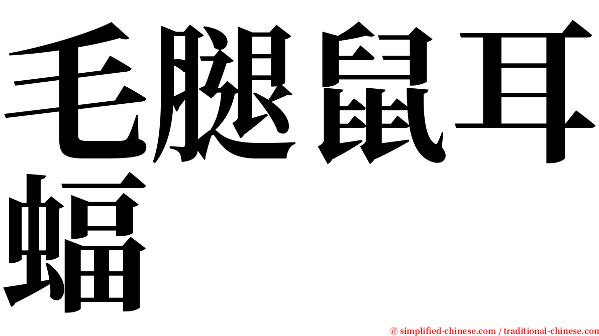 毛腿鼠耳蝠 serif font