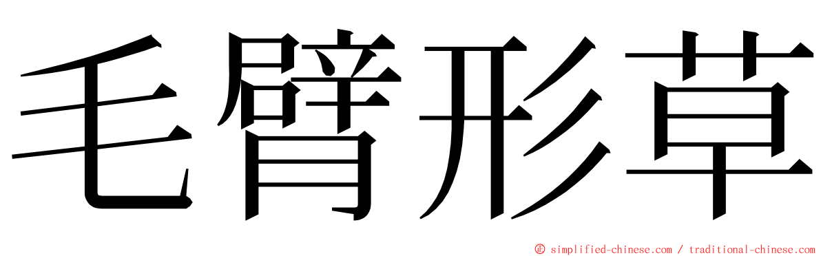 毛臂形草 ming font