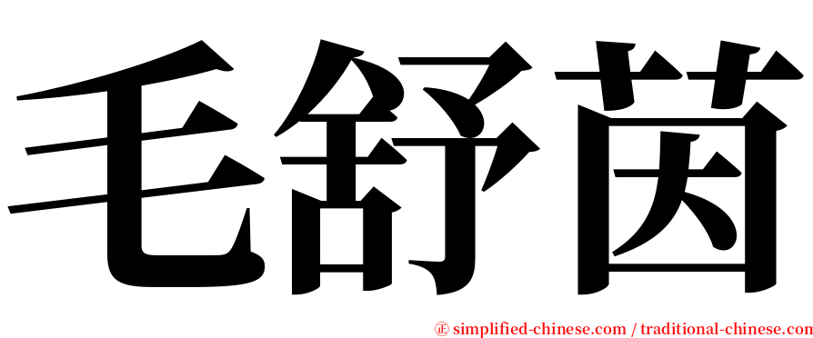 毛舒茵 serif font