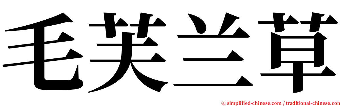 毛芙兰草 serif font