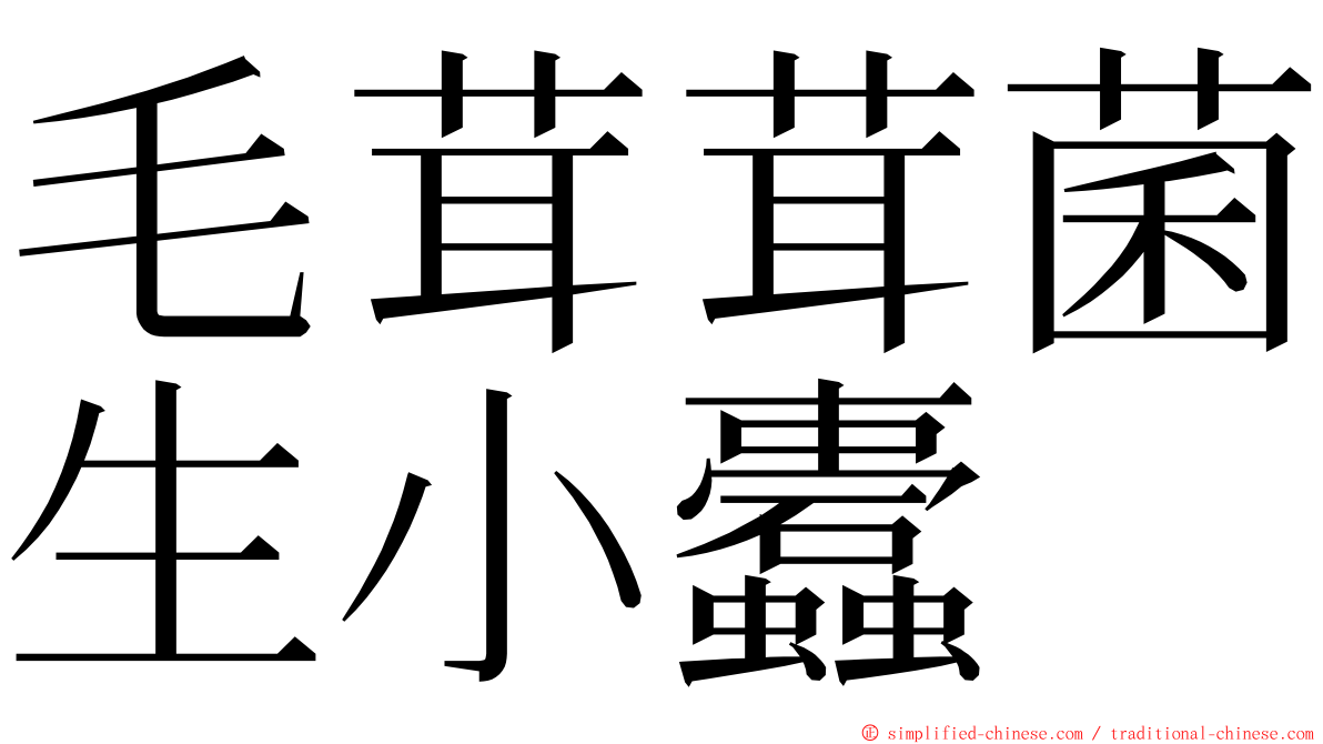 毛茸茸菌生小蠹 ming font