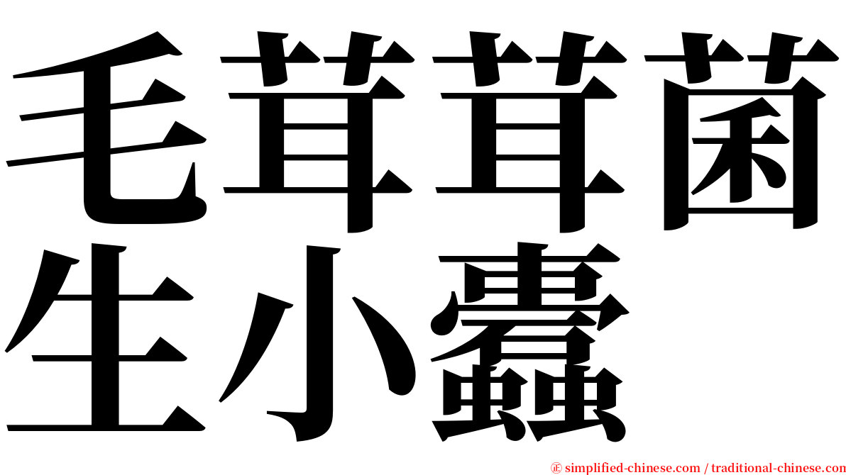 毛茸茸菌生小蠹 serif font