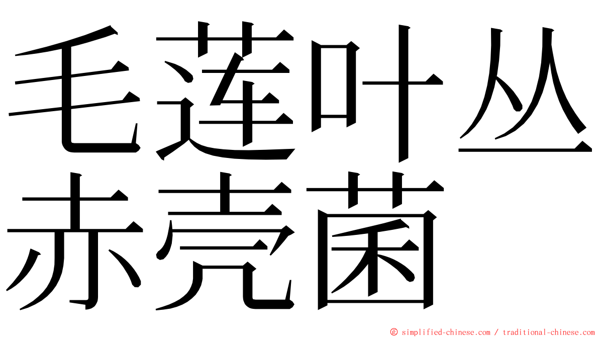 毛莲叶丛赤壳菌 ming font