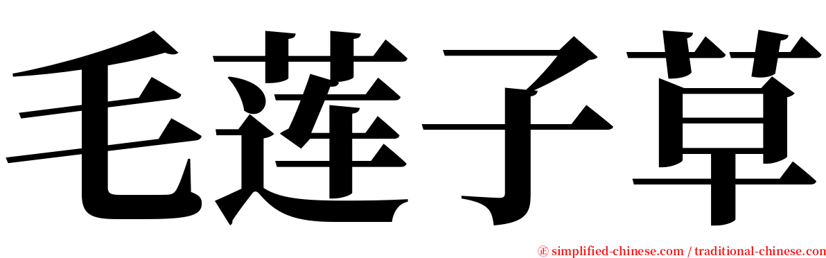 毛莲子草 serif font