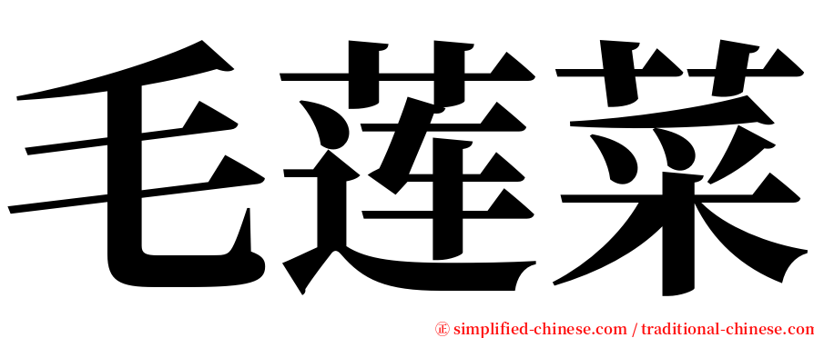 毛莲菜 serif font