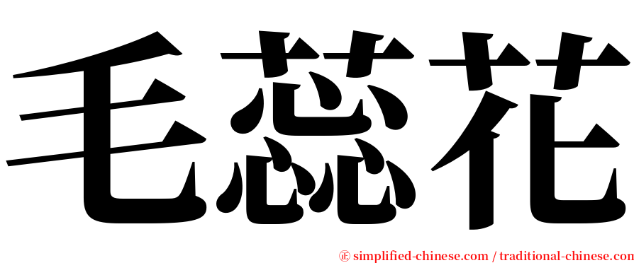 毛蕊花 serif font