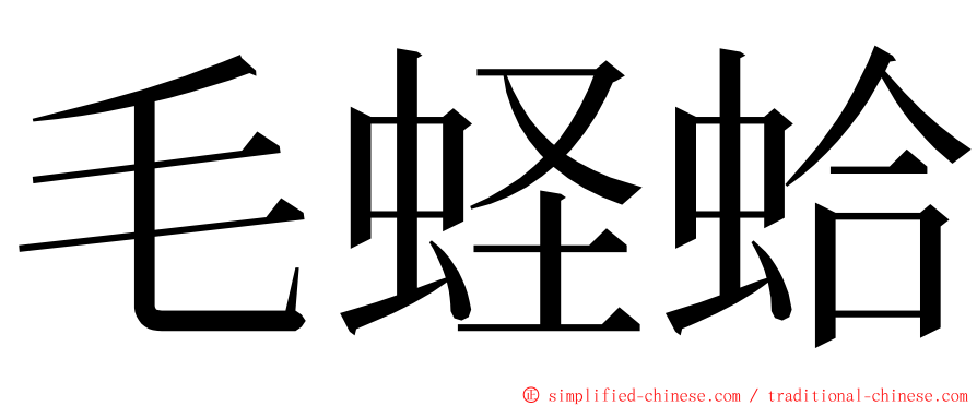 毛蛏蛤 ming font