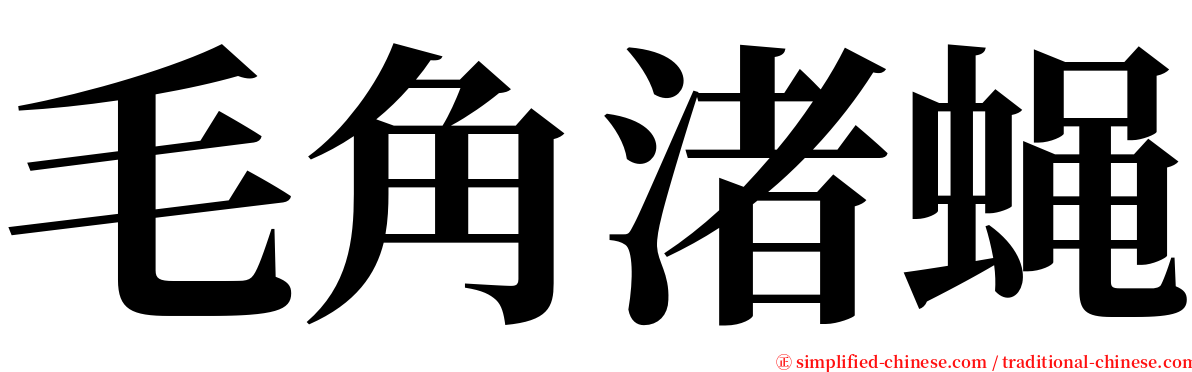 毛角渚蝇 serif font