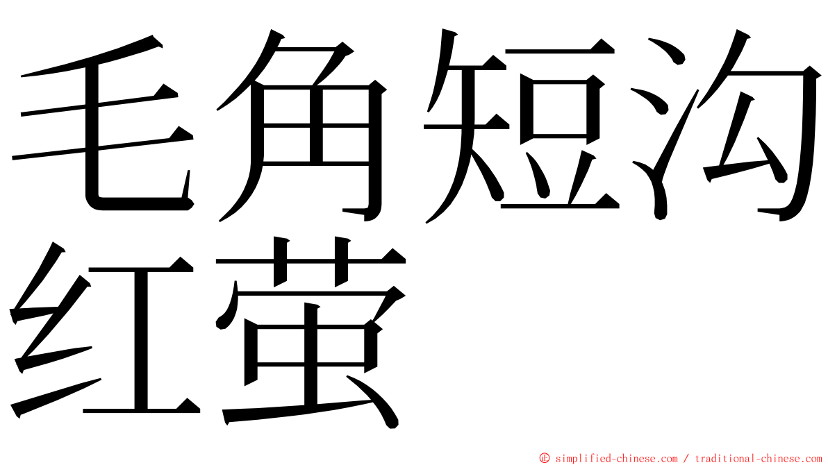 毛角短沟红萤 ming font