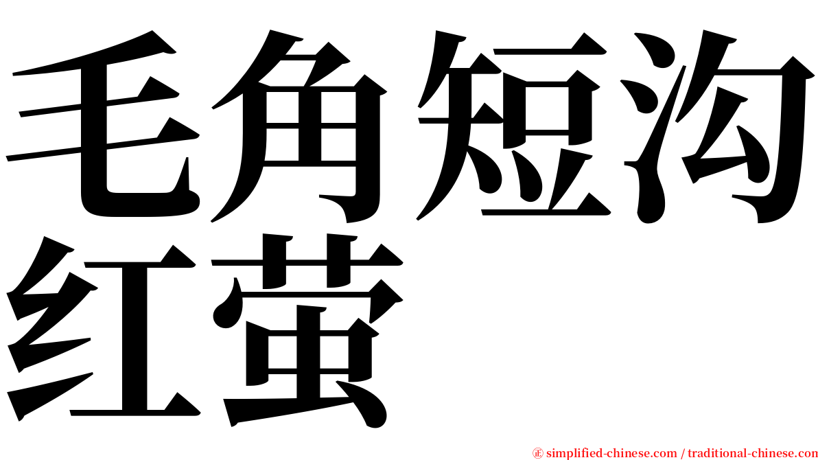 毛角短沟红萤 serif font