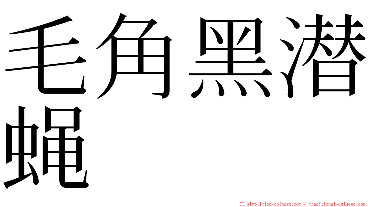 毛角黑潜蝇 ming font