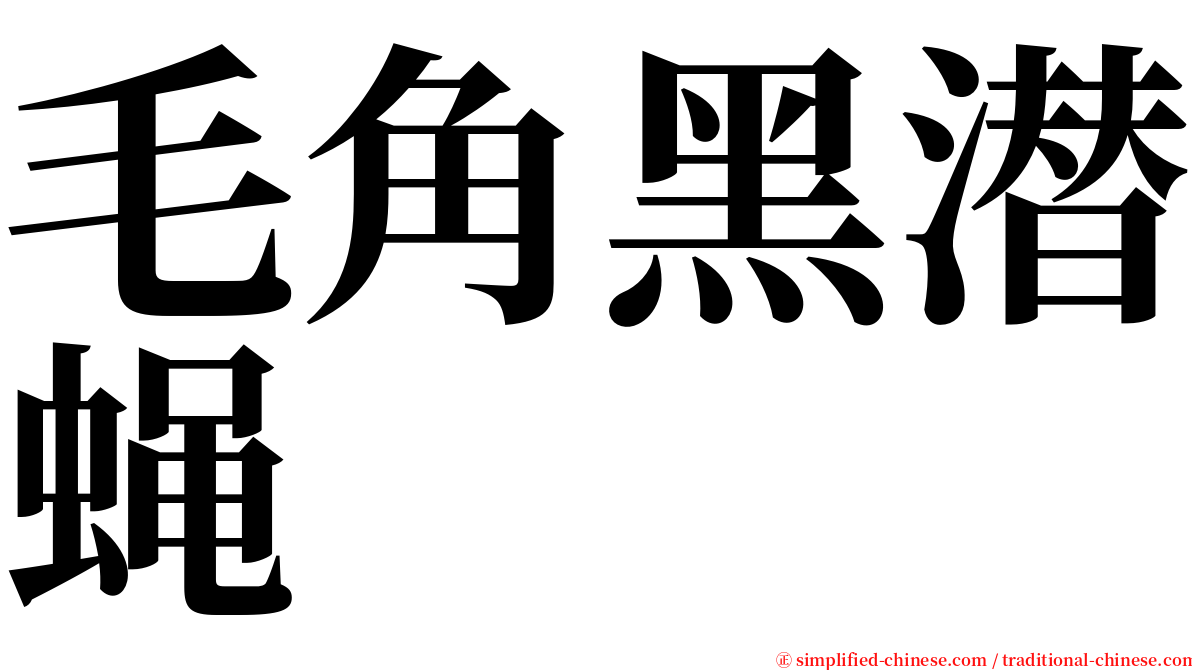 毛角黑潜蝇 serif font