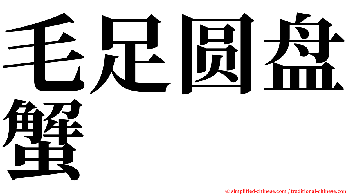 毛足圆盘蟹 serif font