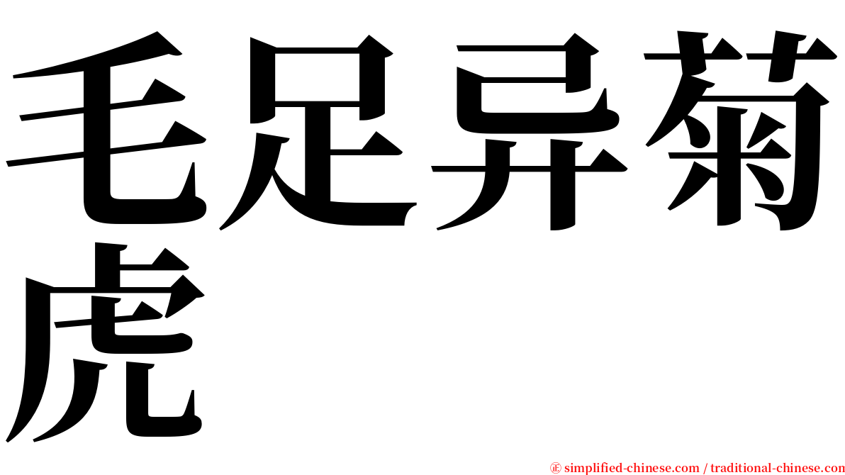 毛足异菊虎 serif font