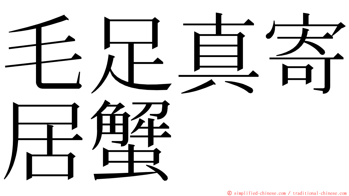 毛足真寄居蟹 ming font