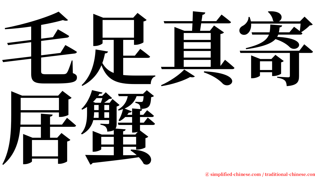 毛足真寄居蟹 serif font