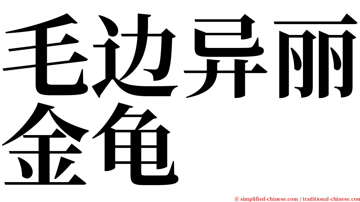 毛边异丽金龟 serif font