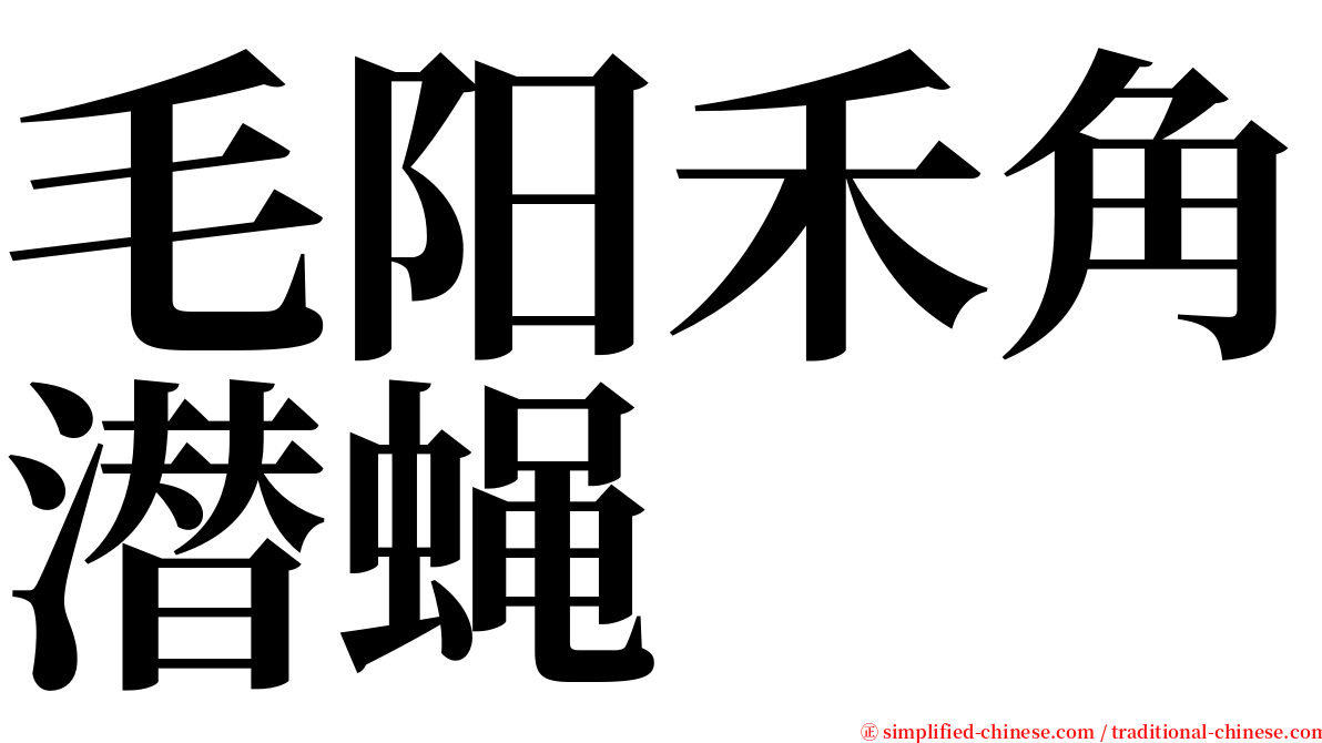 毛阳禾角潜蝇 serif font