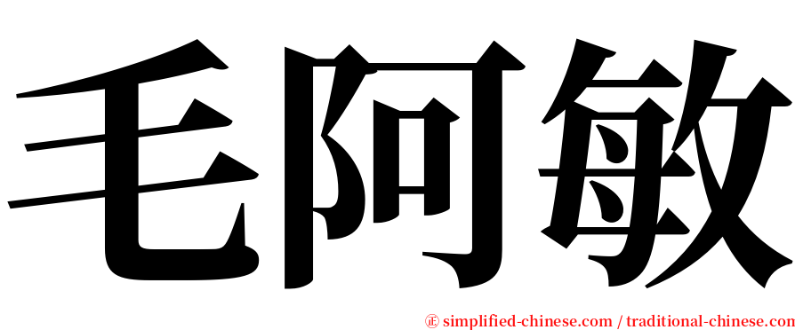 毛阿敏 serif font