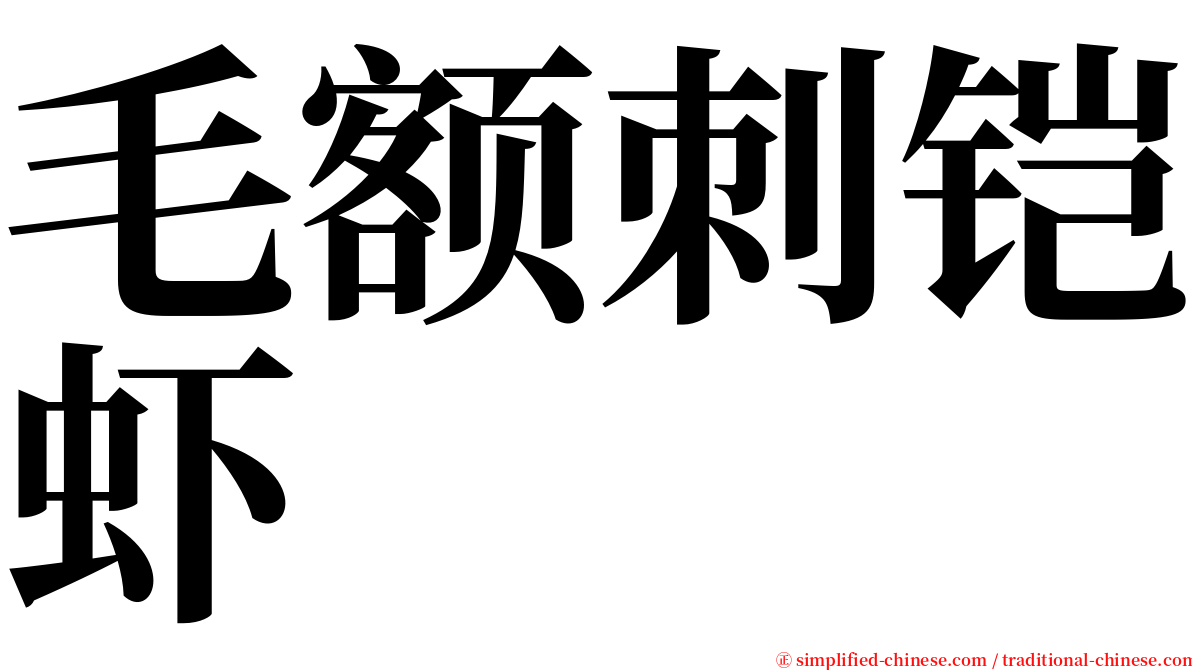 毛额刺铠虾 serif font