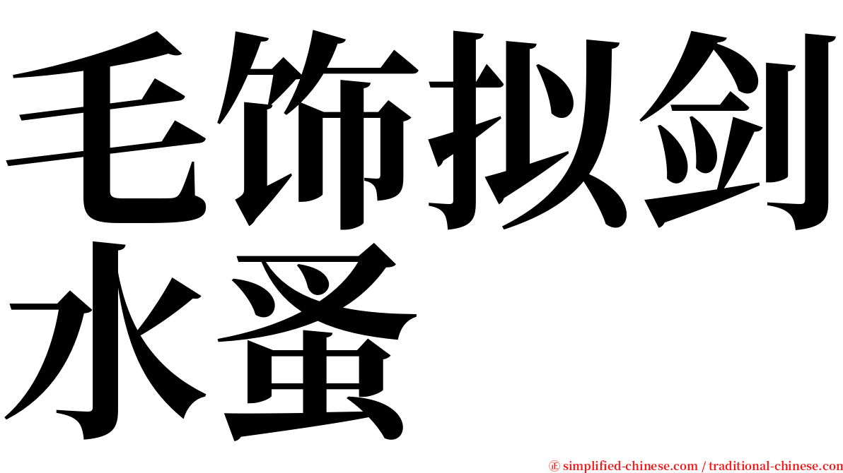 毛饰拟剑水蚤 serif font